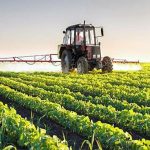 Agricultural Reforms and Food Security in Pakistan 2025-2026