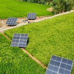 Winners and Losers of the Green Pakistan Initiative