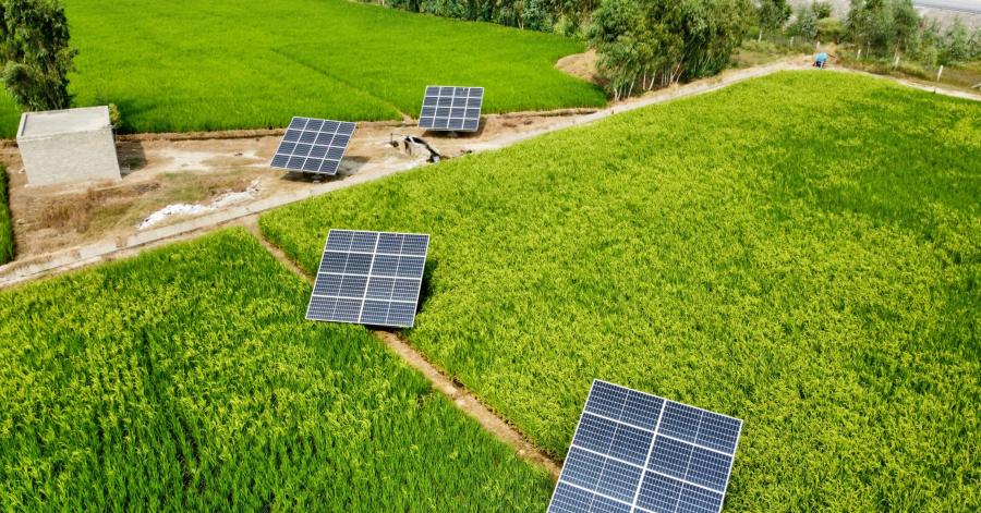 Winners and Losers of the Green Pakistan Initiative Winners and Losers of the Green Pakistan Initiative