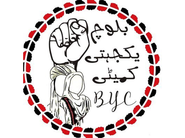 BYC’s Web of Deception BYC’s Web of Deception