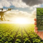 Pakistan’s Green Transition Unlocking Economic Opportunities