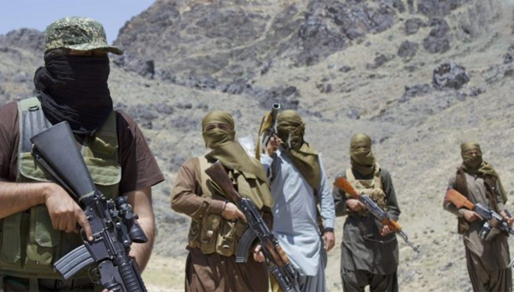 Verified Footage Sparks Unrest Among BLA and BYC Handlers Verified Footage Sparks Unrest Among BLA and BYC Handlers