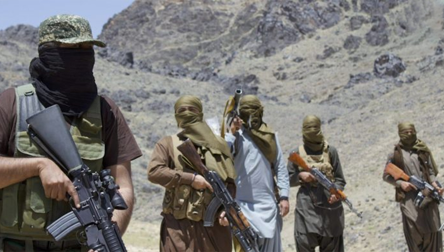Verified Footage Sparks Unrest Among BLA and BYC Handlers