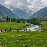 Escalation and Deterrence: Strategic Rationality in Light of the Pahalgam Assault Escalation and Deterrence: Strategic Rationality in Light of the Pahalgam Assault