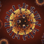 H5N1: The Silent Pandemic We’re Ignoring H5N1: The Silent Pandemic We’re Ignoring