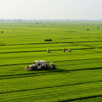 Pakistan’s Agriculture at a Turning Point: Facts, Figures, and the Path Ahead Pakistan’s Agriculture at a Turning Point: Facts, Figures, and the Path Ahead