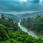 As Monsoon Intensifies, Punjab Braces for Flood Crisis and a Test of Disaster Preparedness As Monsoon Intensifies, Punjab Braces for Flood Crisis and a Test of Disaster Preparedness