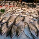 Gwadar’s Fishmeal Plant: A Strategic Leap Toward Sustainable Growth and Export Excellence Gwadar’s Fishmeal Plant: A Strategic Leap Toward Sustainable Growth and Export Excellence