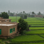 Balochistan on High Alert as Heavy Rains Trigger Flood Threats Balochistan on High Alert as Heavy Rains Trigger Flood Threats