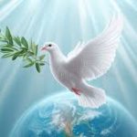 Pakistan’s Commitment to Peace: A Regional Leader in Diplomacy and Resilience Pakistan’s Commitment to Peace: A Regional Leader in Diplomacy and Resilience