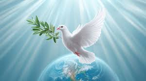 Pakistan’s Commitment to Peace: A Regional Leader in Diplomacy and Resilience Pakistan’s Commitment to Peace: A Regional Leader in Diplomacy and Resilience