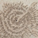 The Ephemeral Mark: When Policy’s Grand Designs Vanish Like Sand Spirals The Ephemeral Mark: When Policy’s Grand Designs Vanish Like Sand Spirals