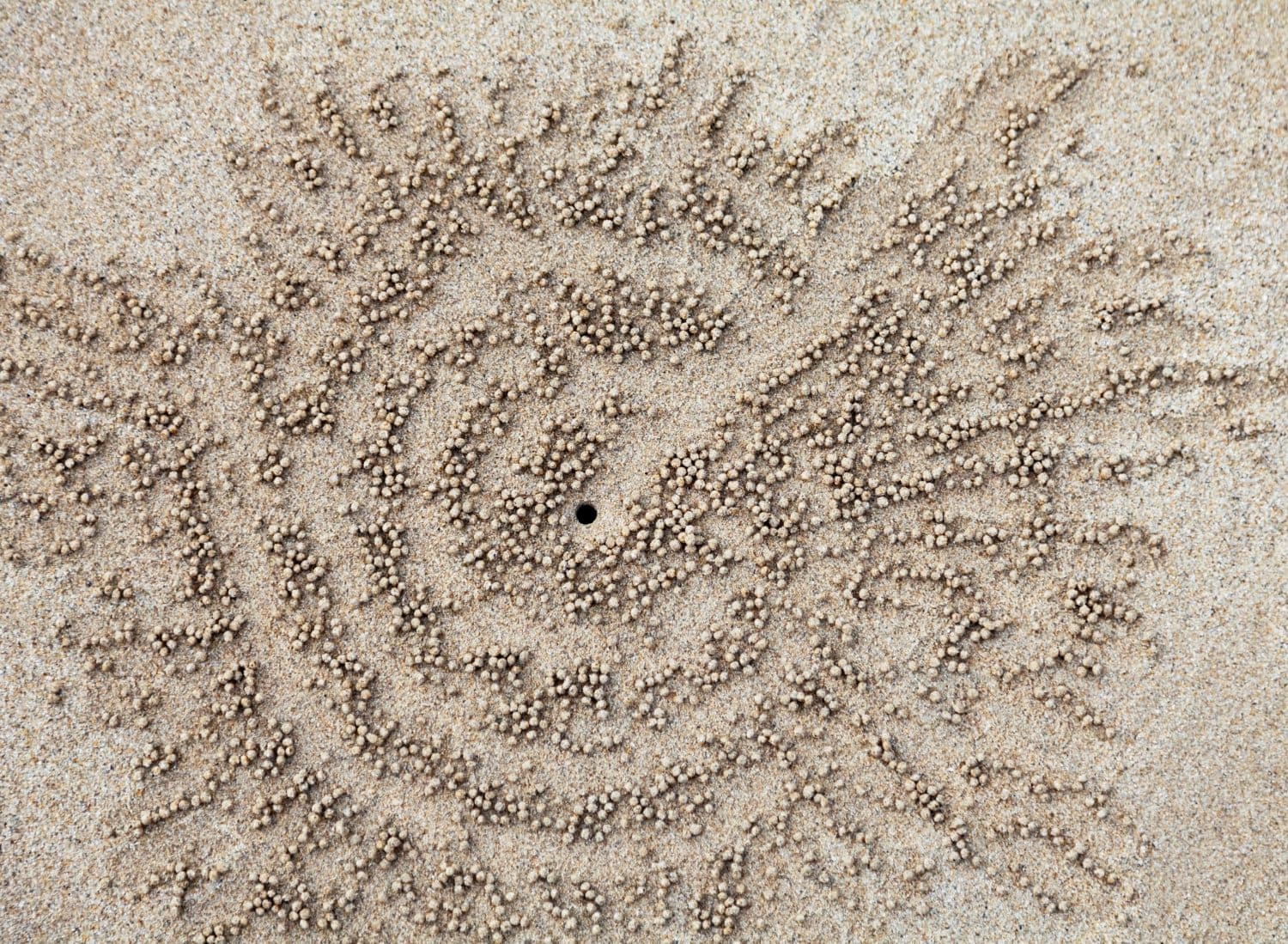 The Ephemeral Mark: When Policy’s Grand Designs Vanish Like Sand Spirals