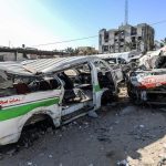Gaza’s Unseen Foe: Rodents and Disease Deepen Humanitarian Catastrophe Gaza’s Unseen Foe: Rodents and Disease Deepen Humanitarian Catastrophe