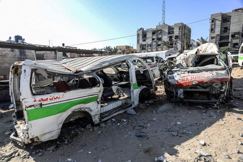 Gaza’s Unseen Foe: Rodents and Disease Deepen Humanitarian Catastrophe Gaza’s Unseen Foe: Rodents and Disease Deepen Humanitarian Catastrophe