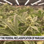 Federal Cannabis Shift Ignites Tax Relief Hopes, But Hurdles Remain for Green Economy Federal Cannabis Shift Ignites Tax Relief Hopes, But Hurdles Remain for Green Economy