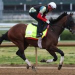 Derby’s Cruel Lottery: Silent Tactic’s Exit Underscores Elite Sport’s Brutal Economic Calculus Derby’s Cruel Lottery: Silent Tactic’s Exit Underscores Elite Sport’s Brutal Economic Calculus