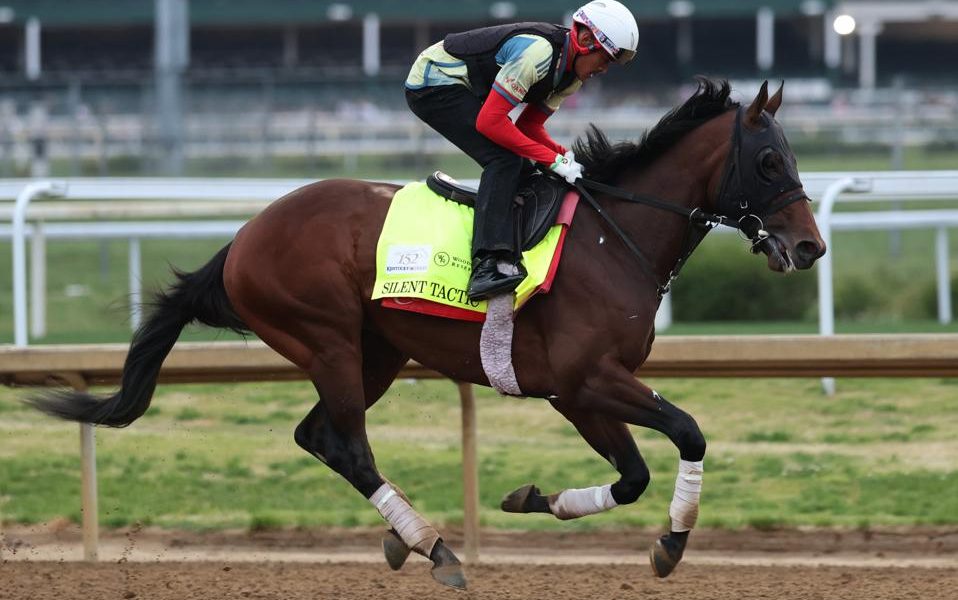 Derby’s Cruel Lottery: Silent Tactic’s Exit Underscores Elite Sport’s Brutal Economic Calculus