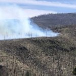 New Mexico’s Hummingbird Fire: A Relentless Overture to a Warming World’s Fury