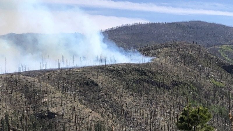 New Mexico’s Hummingbird Fire: A Relentless Overture to a Warming World’s Fury New Mexico’s Hummingbird Fire: A Relentless Overture to a Warming World’s Fury