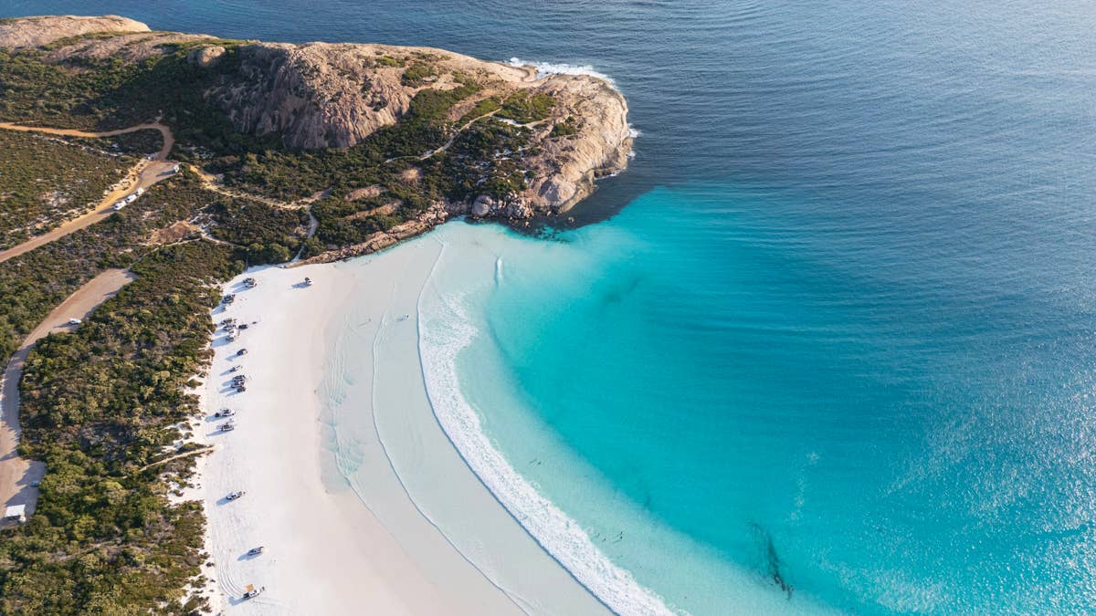 Coral’s Cold Comfort: Where Apex Predators Prowl, Tourism Crowns a ‘Best Beach’