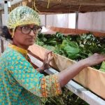 India’s Quiet Silk Revolution: Weaving a New Economic Future from Lab Coats to Looms India’s Quiet Silk Revolution: Weaving a New Economic Future from Lab Coats to Looms