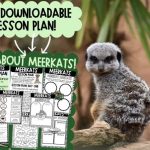 Free Meerkat Unit Plan: Engaging Wildlife Education for Kids and Homeschoolers Free Meerkat Unit Plan: Engaging Wildlife Education for Kids and Homeschoolers