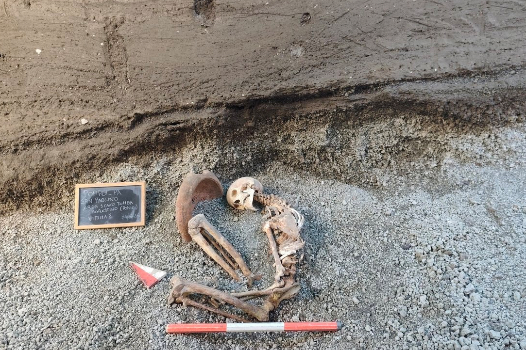 Pompeii’s Uncanny Gaze: AI Revives a Face, Igniting Debates on History’s Future Pompeii’s Uncanny Gaze: AI Revives a Face, Igniting Debates on History’s Future
