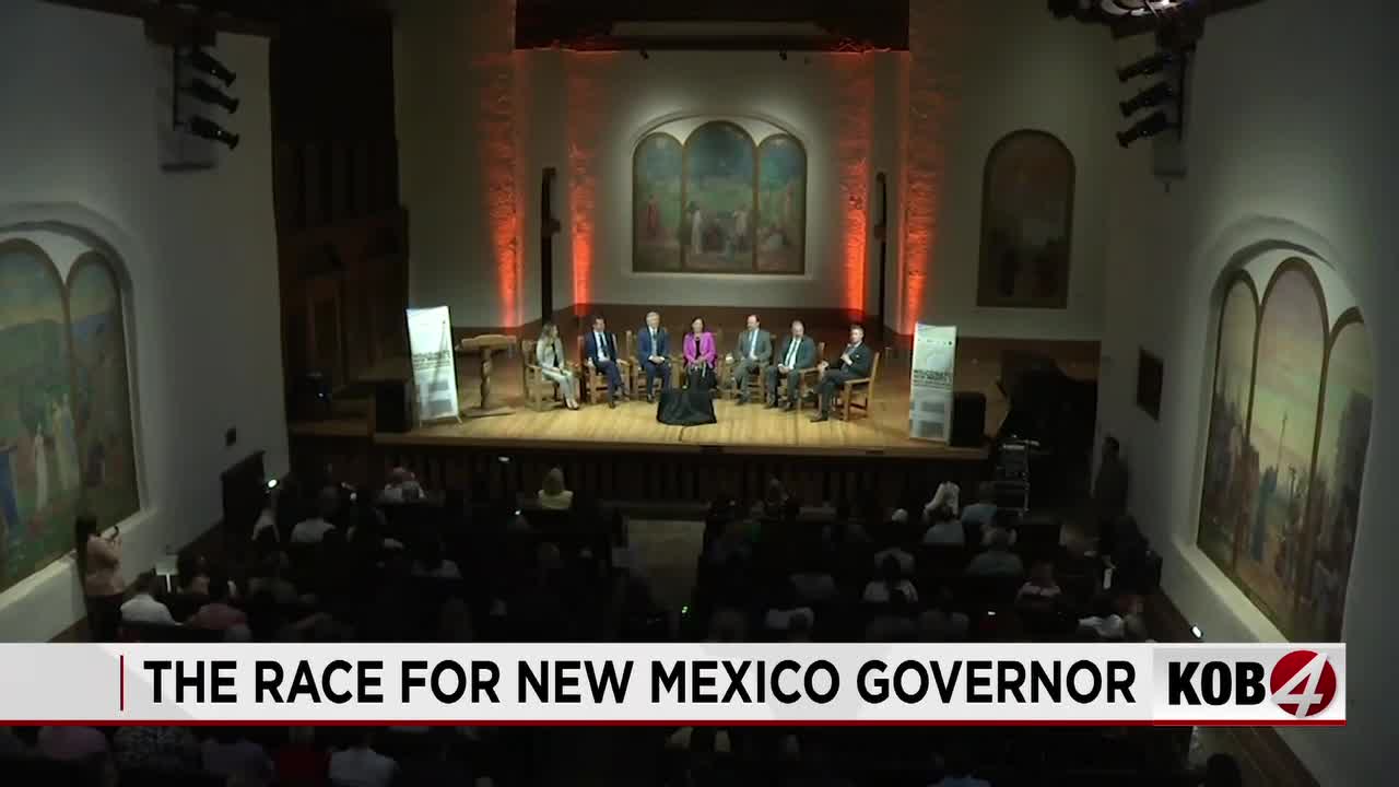 New Mexico Gubernatorial Debate: Candidates Unveil Economic Growth and Business Strategies