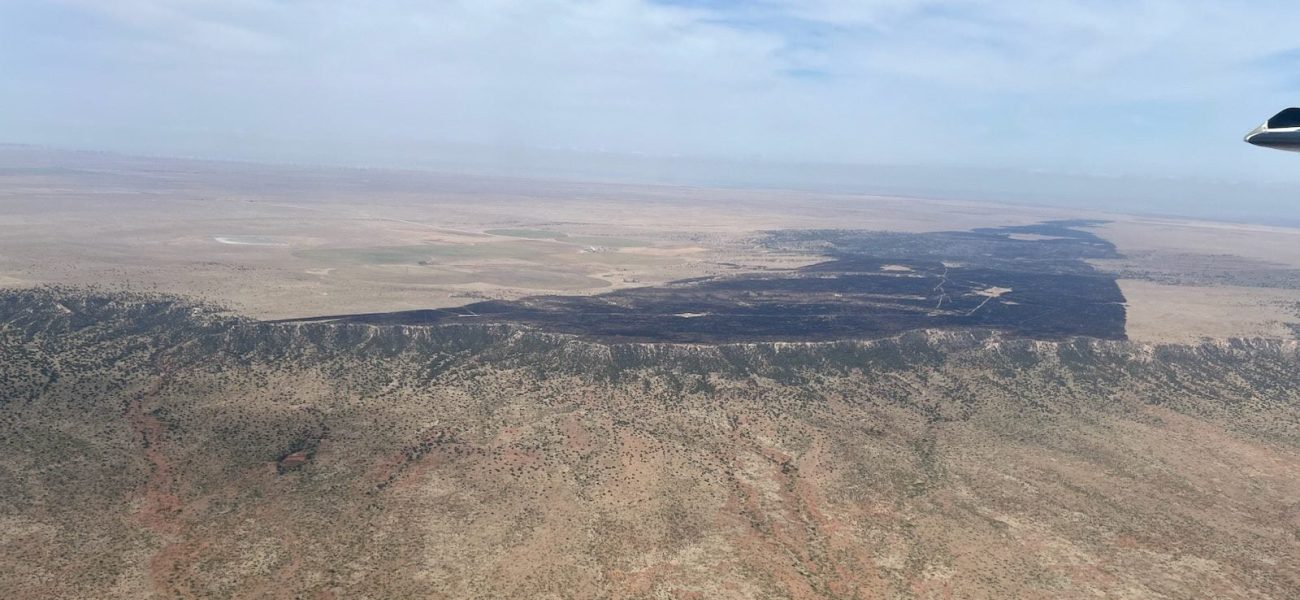 New Mexico’s Red Scourge: 10,000-Acre Inferno Tests Desert State’s Waning Resilience New Mexico’s Red Scourge: 10,000-Acre Inferno Tests Desert State’s Waning Resilience