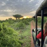 Tanzania’s Untamed South: A Strategic Bet on Wilderness Diplomacy Tanzania’s Untamed South: A Strategic Bet on Wilderness Diplomacy