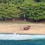 Hawaii Tour Helicopter Crash: Pilot Details Pre-Fatal Malfunction and Spin Killing Three Hawaii Tour Helicopter Crash: Pilot Details Pre-Fatal Malfunction and Spin Killing Three
