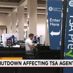 Albuquerque Travel Shifts: Persistent TSA Pay Struggles Impact Agents, Alter Passenger Choices Albuquerque Travel Shifts: Persistent TSA Pay Struggles Impact Agents, Alter Passenger Choices