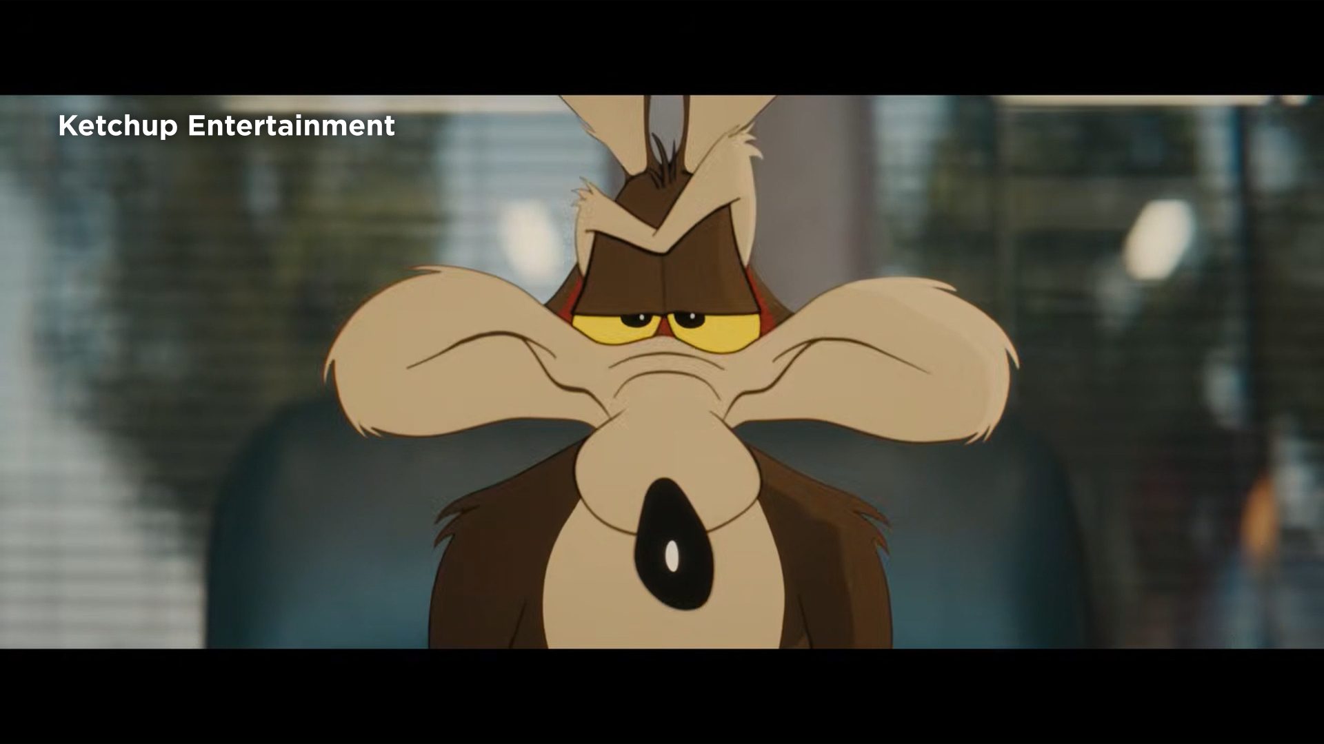 Coyote vs. Acme Trailer: New Mexico Filming, John Cena’s Role, and Looney Tunes Legacy Explored