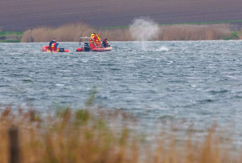 German Minke Whale Rescue: Freed Marine Mammal Re-strands, Conservation Efforts Intensify