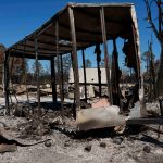 Smoldering Seasons: Georgia’s Fires Signal a New Climate Reality for the East Smoldering Seasons: Georgia’s Fires Signal a New Climate Reality for the East