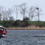 Leviathan’s Lament: Stranded Whale Exposes Germany’s Baltic Paradox Leviathan’s Lament: Stranded Whale Exposes Germany’s Baltic Paradox
