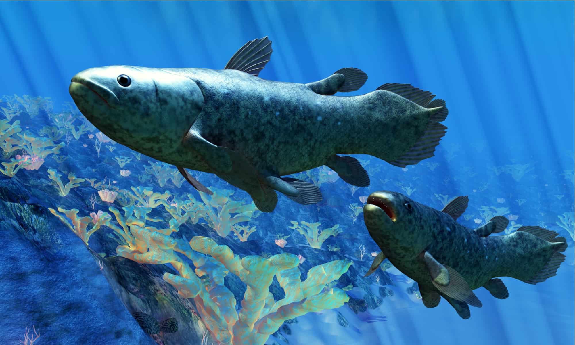 Deep-Sea Discovery: Scientists Moved by Rare ‘Abyssal Lumina’ Fish Find