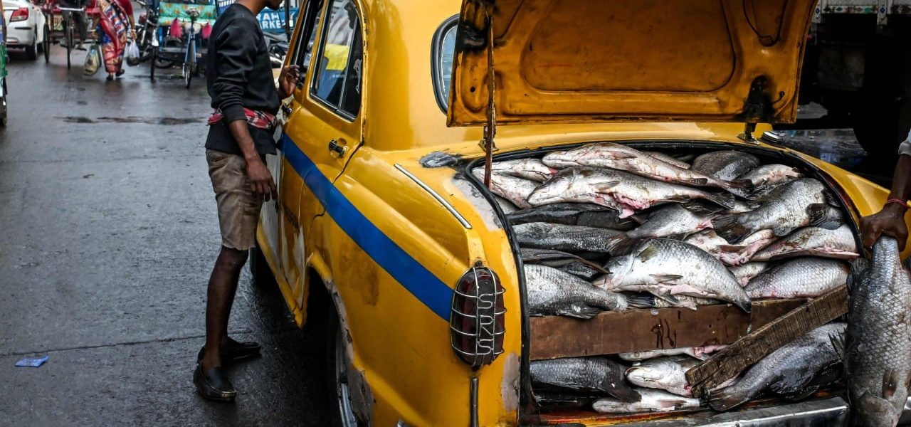 West Bengal Election: Fish Takes Center Stage as Political Flashpoint in India West Bengal Election: Fish Takes Center Stage as Political Flashpoint in India