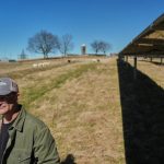 Trump Policies Slash Rural Renewable Energy Funding, AP-Grist Investigation Reveals Trump Policies Slash Rural Renewable Energy Funding, AP-Grist Investigation Reveals