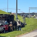 Million Bees Unleashed in Knoxville Highway Crash, Disrupting Tennessee Traffic
