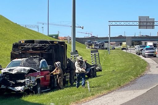 Million Bees Unleashed in Knoxville Highway Crash, Disrupting Tennessee Traffic Million Bees Unleashed in Knoxville Highway Crash, Disrupting Tennessee Traffic