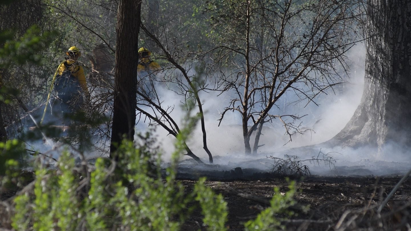 Albuquerque Fire Rescue Contains One-Acre Bosque Fire in South Valley Albuquerque Fire Rescue Contains One-Acre Bosque Fire in South Valley