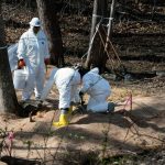 DOJ Files Federal Lawsuit Against Washington State, Wastewater Authority Over Massive Sewage Spill DOJ Files Federal Lawsuit Against Washington State, Wastewater Authority Over Massive Sewage Spill