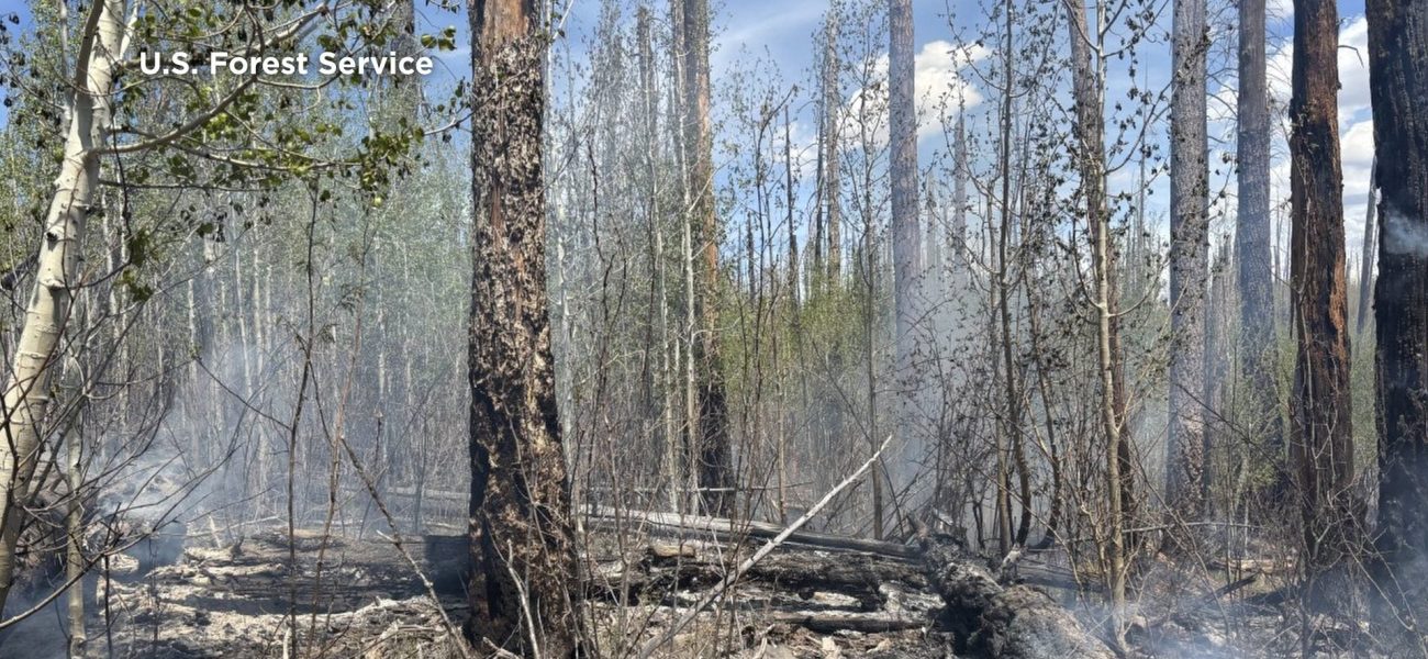 Ghost of ’12: Hummingbird Fire Rekindles Old Scars in Gila Wilderness Ghost of ’12: Hummingbird Fire Rekindles Old Scars in Gila Wilderness