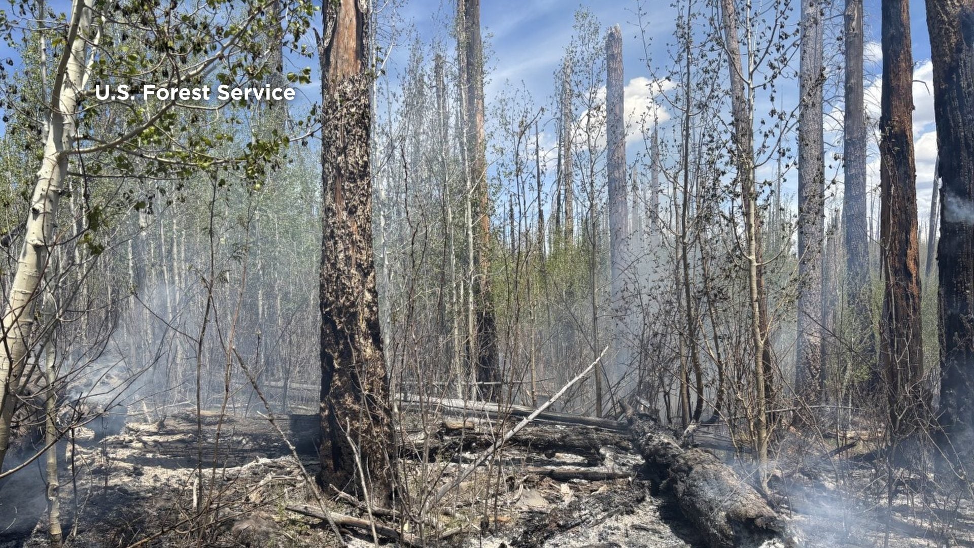Ghost of ’12: Hummingbird Fire Rekindles Old Scars in Gila Wilderness Ghost of ’12: Hummingbird Fire Rekindles Old Scars in Gila Wilderness