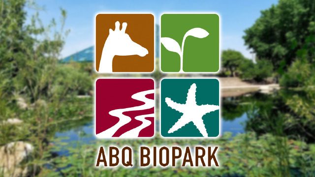 ABQ BioPark Hosts Exclusive Adult Primate Conservation Event: Behind-the-Scenes ‘Great Ape-ril’ Tours ABQ BioPark Hosts Exclusive Adult Primate Conservation Event: Behind-the-Scenes ‘Great Ape-ril’ Tours