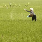 Beijing’s Quiet Hand: Border Inspections Signal Global Food Supply Shift Beijing’s Quiet Hand: Border Inspections Signal Global Food Supply Shift