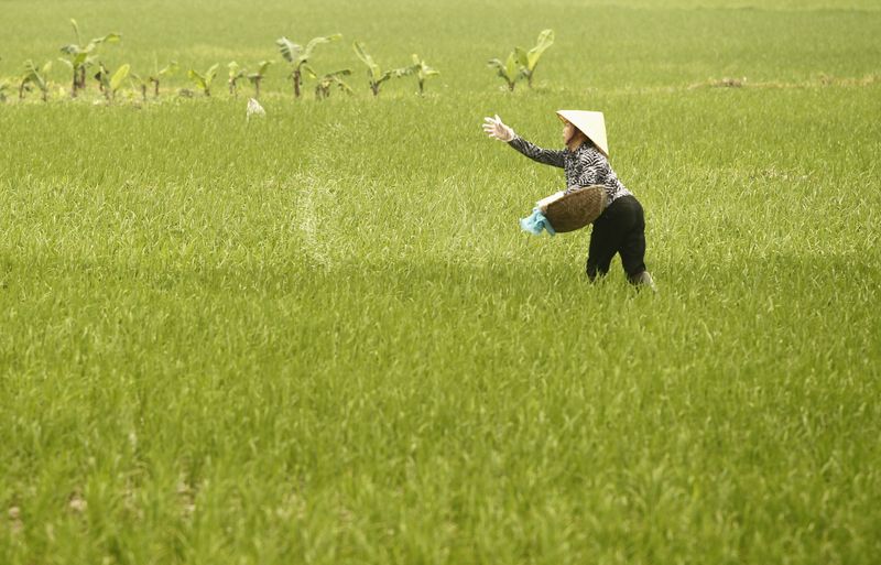 Beijing’s Quiet Hand: Border Inspections Signal Global Food Supply Shift