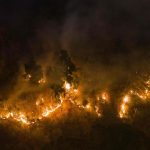 Thailand & Mekong Region Grapple with Severe Forest Fires, Air Pollution Crisis Thailand & Mekong Region Grapple with Severe Forest Fires, Air Pollution Crisis